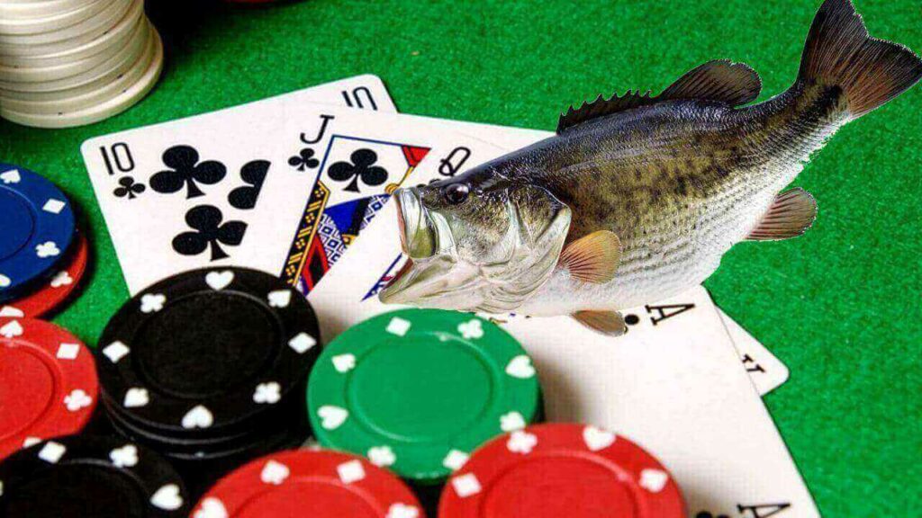 fishing-and-casino